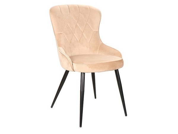 CHAIR LOTUS VELVET BLACK FRAME / BEIGE BLUVEL 28 DIOMMI LOTUSVCBE
